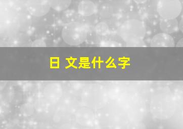 日 文是什么字